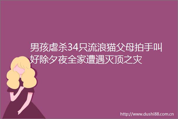 男孩虐杀34只流浪猫父母拍手叫好除夕夜全家遭遇灭顶之灾