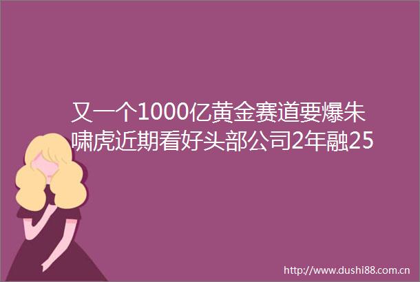 又一个1000亿黄金赛道要爆朱啸虎近期看好头部公司2年融25亿