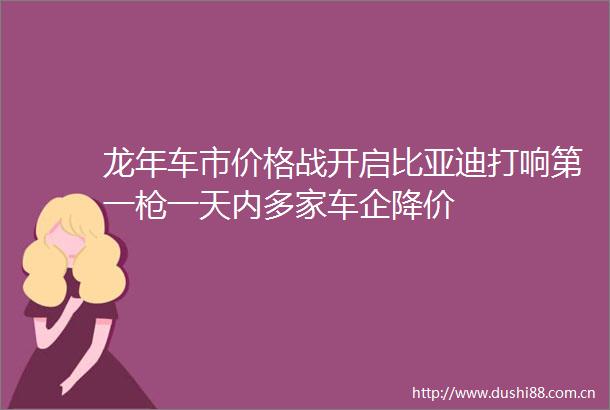 龙年车市价格战开启比亚迪打响第一一天内多家车企降价