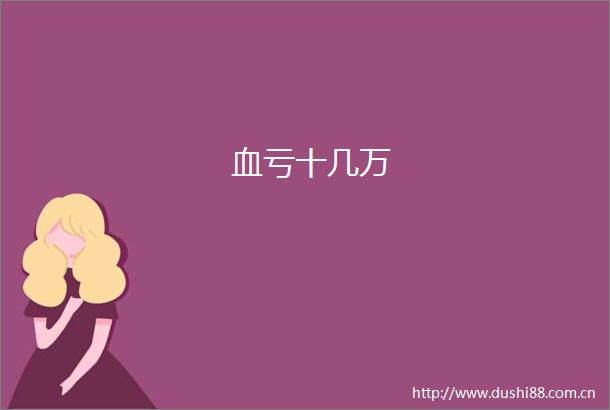 血亏十几万