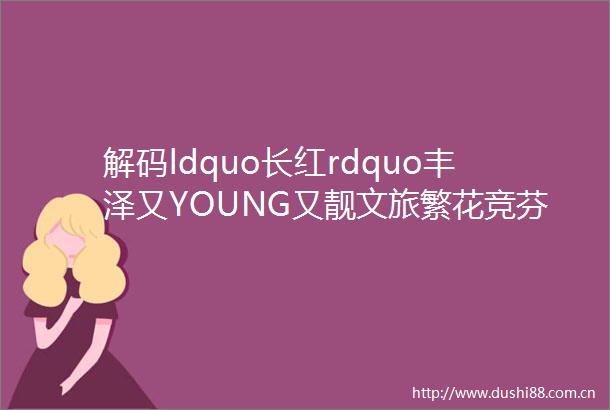 解码ldquo长红rdquo丰泽又YOUNG又靓文旅繁花竞芬芳