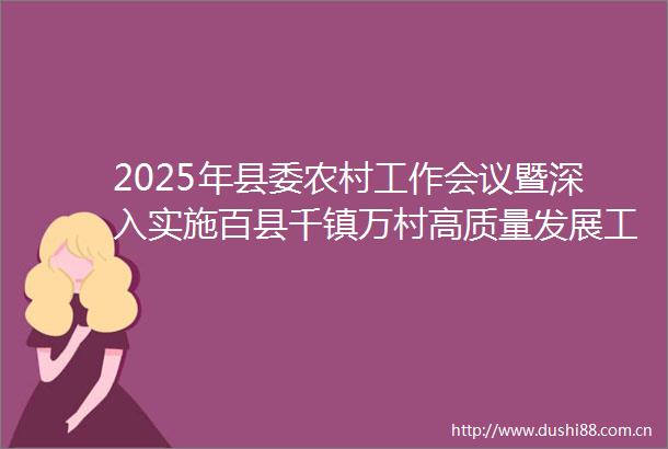 2025年县委农村工作会议暨深入实施百县千镇万村高质量发展工程推进会召开