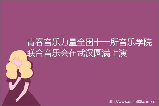 青春音乐力量全国十一所音乐学院联合音乐会在武汉圆满上演