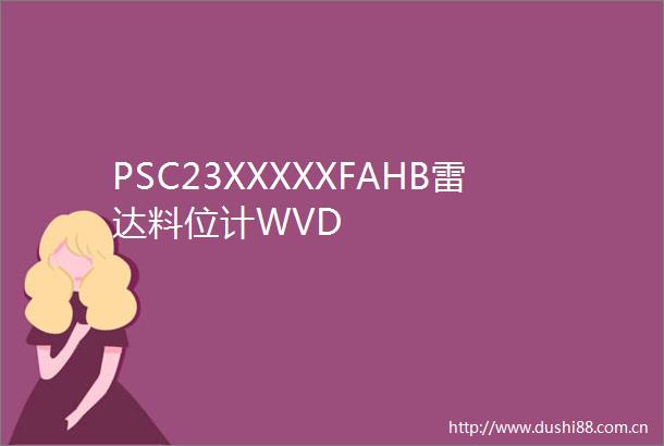 PSC23XXXXXFAHB雷达料位计WVD