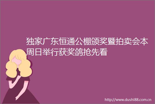 独家广东恒通公棚颁奖暨拍卖会本周日举行获奖鸽抢先看