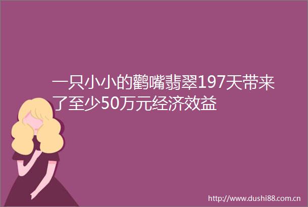 一只小小的鹳嘴翡翠197天带来了至少50万元经济效益