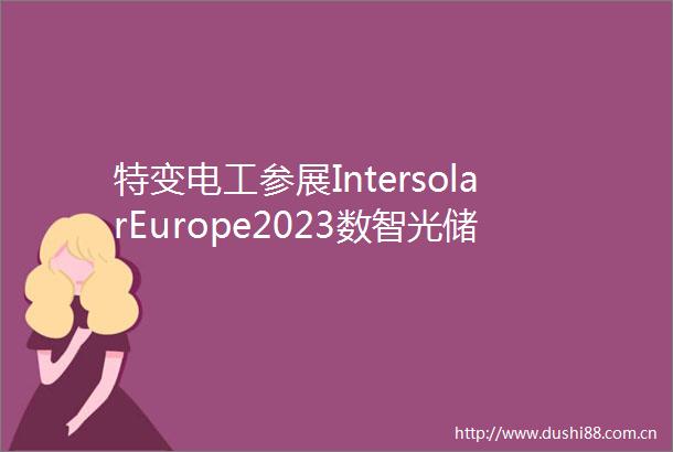 特变电工参展IntersolarEurope2023数智光储共建绿色美好未来