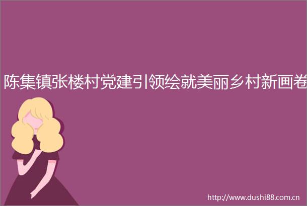 陈集镇张楼村党建引领绘就美丽乡村新画卷