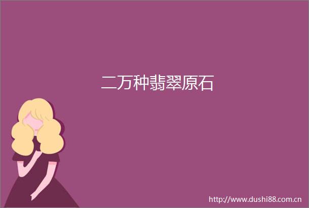 二万种翡翠原石