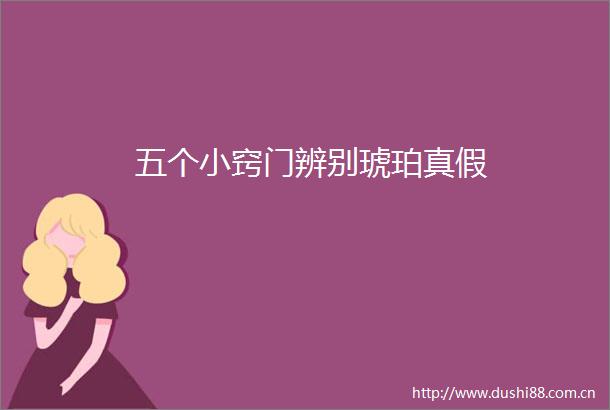 五个小窍门辨别琥珀真假