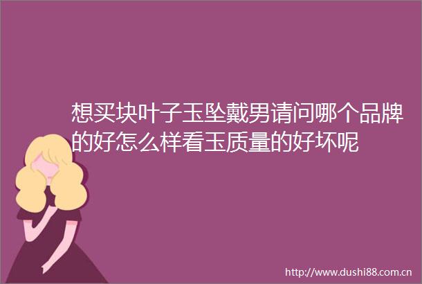 想买块叶子玉坠戴男请问哪个品牌的好怎么样看玉质量的好坏呢