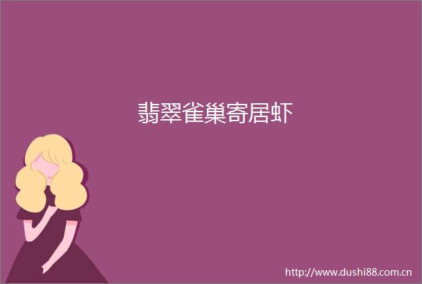 翡翠雀巢寄居虾