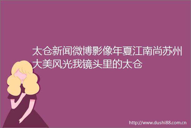 太仓新闻微博影像年夏江南尚苏州大美风光我镜头里的太仓