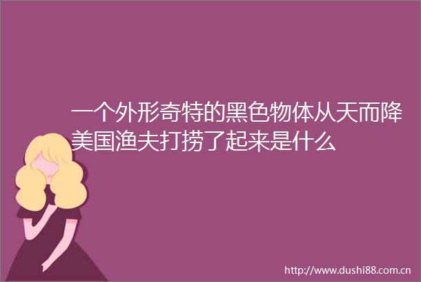 一个外形奇特的黑色物体从天而降美国渔夫打捞了起来是什么