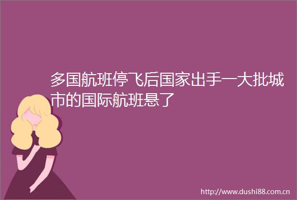 多国航班停飞后出手一大批城市的国际航班悬了
