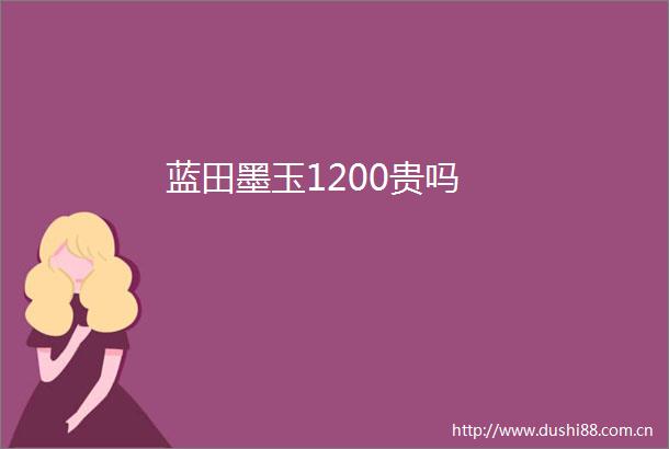 蓝田墨玉1200贵吗