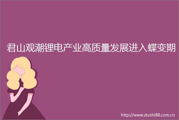 君山观潮锂电产业高质量发展进入蝶变期