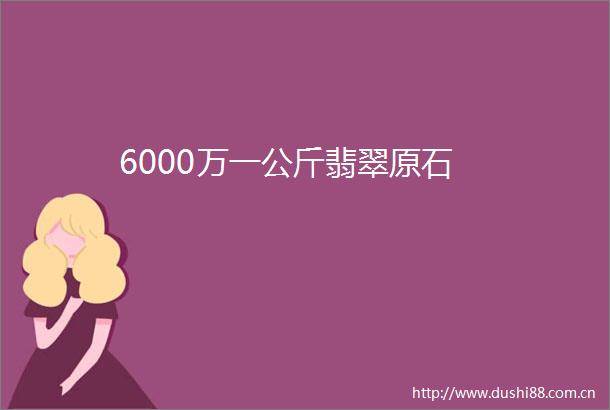 6000万一公斤翡翠原石