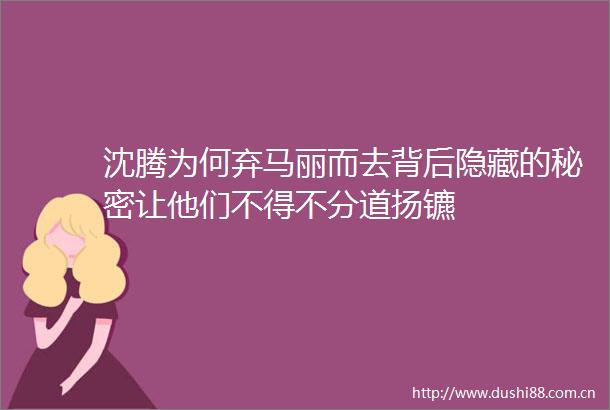 沈腾为何弃马丽而去背后隐藏的秘密让他们不得不分道扬镳