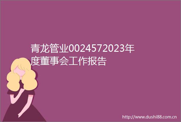 青龙管业0024572023年度董事会工作报告