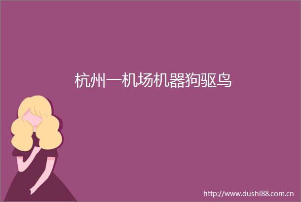 杭州一机场机器狗驱鸟