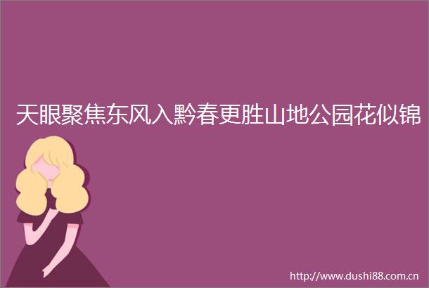 天眼聚焦东风入黔春更胜山地公园花似锦