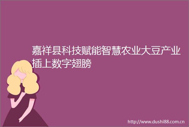 嘉祥县科技赋能智慧农业大豆产业插上数字翅膀