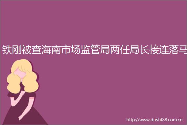 铁刚被查海南市场监管局两任局长接连落马