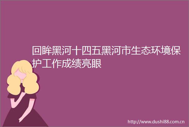 回眸黑河十四五黑河市生态环境保护工作成绩亮眼