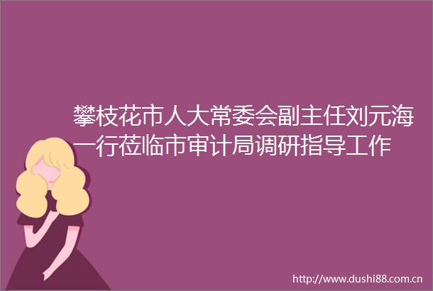 攀枝花市人大常委会副主任刘元海一行莅临市审计局调研指导工作