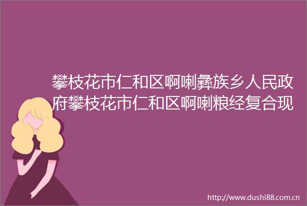 攀枝花市仁和区啊喇彝族乡攀枝花市仁和区啊喇粮经复合现代农业园区申报创建服务采购项目竞争性磋商公告