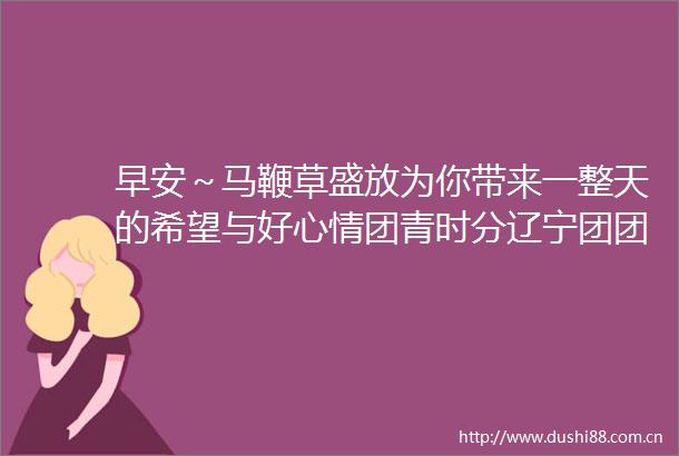 早安～马鞭草盛放为你带来一整天的希望与好心情团青时分辽宁团团超话辽宁共青团的微博视频