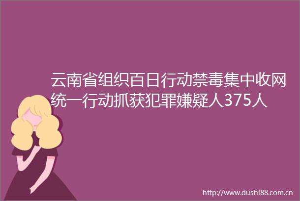 云南省组织百日行动禁毒集中收网统一行动抓获嫌疑人375人缴获毒品3234公斤