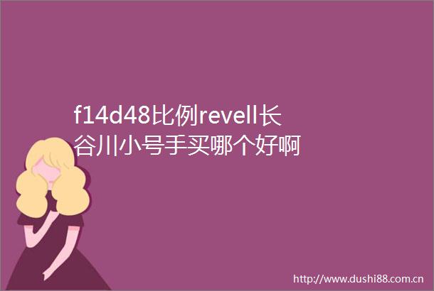 f14d48比例revell长谷川小号手买哪个好啊