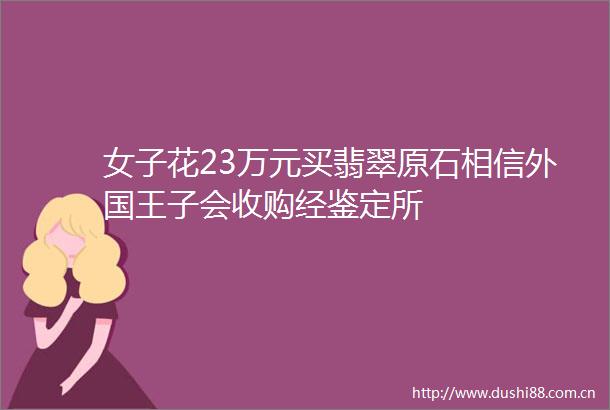 女子花23万元买翡翠原石相信外国王子会收购经鉴定所