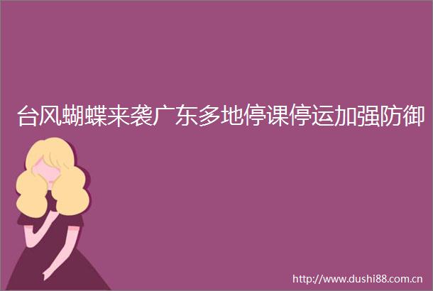 台风蝴蝶来袭广东多地停课停运加强防御