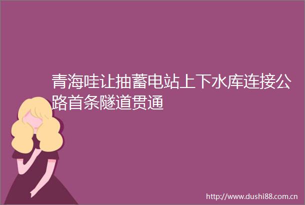 青海哇让抽蓄电站上下水库连接公路首条隧道贯通