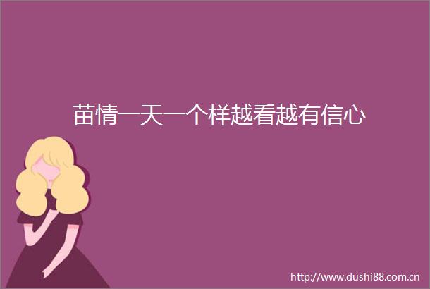 苗情一天一个样越看越有信心