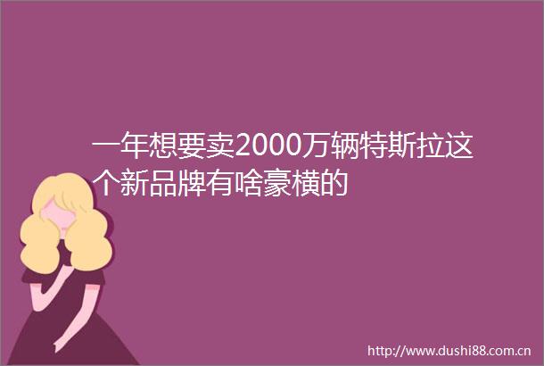 一年想要卖2000万辆特斯拉这个新品牌有啥豪横的
