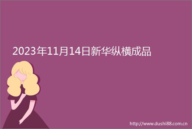 2023年11月14日新华纵横成品