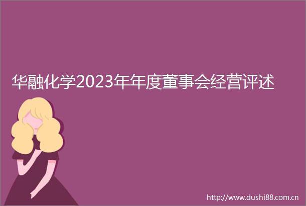 华融化学2023年年度董事会经营评述