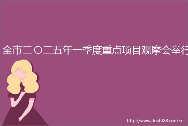 全市二〇二五年一季度重点项目观摩会举行