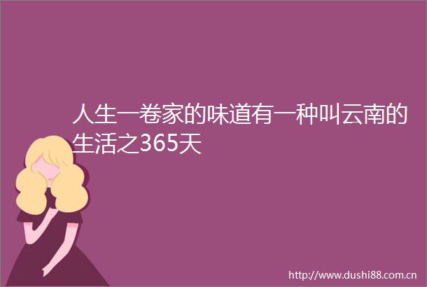 人生一卷家的味道有一种叫云南的生活之365天