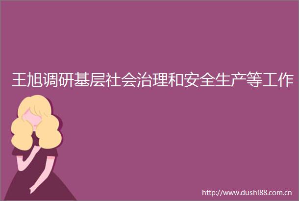 王旭调研基层社会治理和安全生产等工作