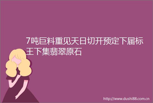 7吨巨料重见天日切开预定下届标王下集翡翠原石