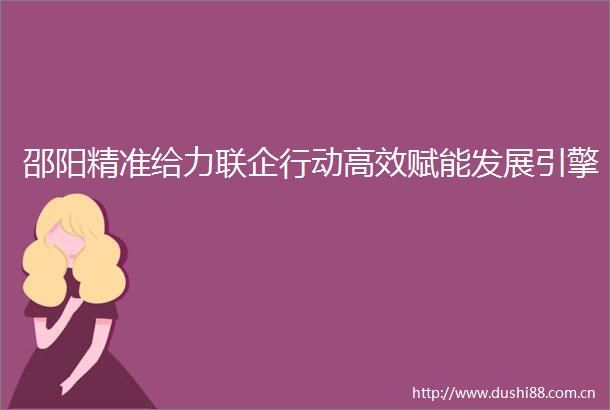 邵阳精准给力联企行动高效赋能发展引擎