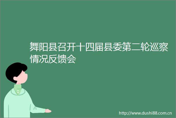 舞阳县召开十四届县委第二轮巡察情况反馈会