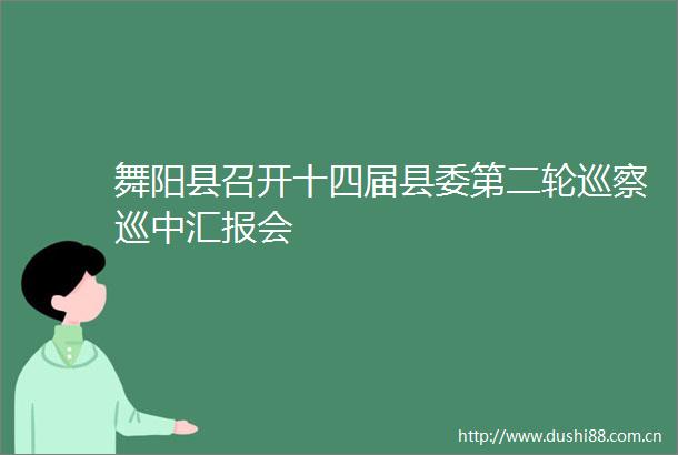 舞阳县召开十四届县委第二轮巡察巡中汇报会