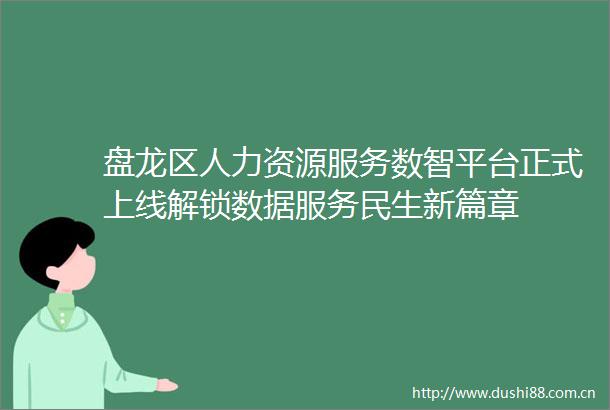 盘龙区人力资源服务数智平台正式上线解锁数据服务民生新篇章