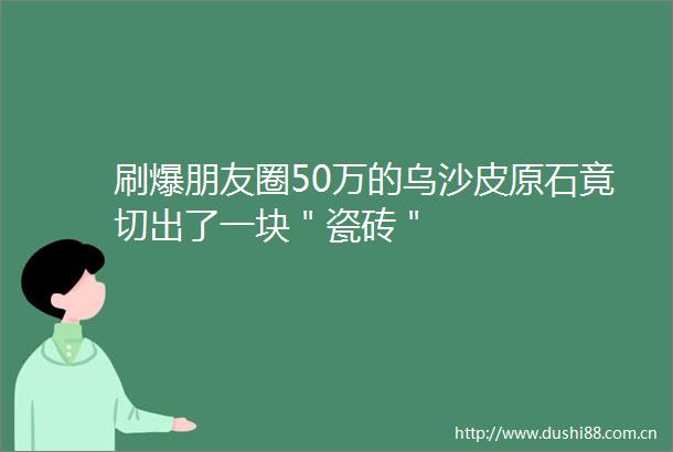 刷爆朋友圈50万的乌沙皮原石竟切出了一块＂瓷砖＂